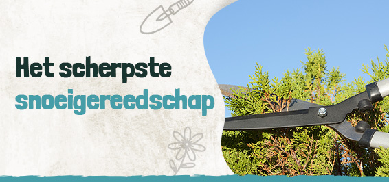 Het scherpste snoeigereedschap