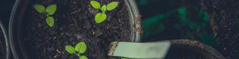 Alles voor je tuin bestel je bij Kabelshop.nl