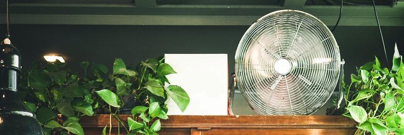 groet Stevig Omdat ⋙ Welke ventilator heb ik nodig? | Kabelshop.nl