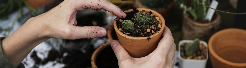 De juiste verzorging voor jouw tuin met producten van Kabelshop.nl