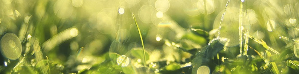 Blog: gazonkalender