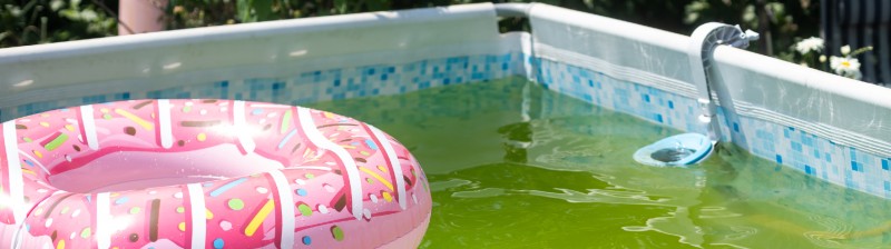 groen zwembadwater