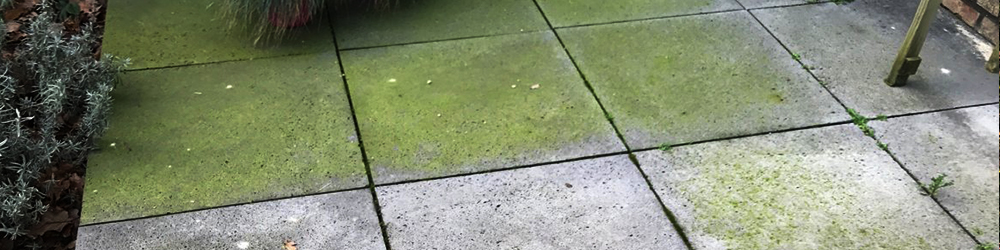 Groene aanslag verwijderen