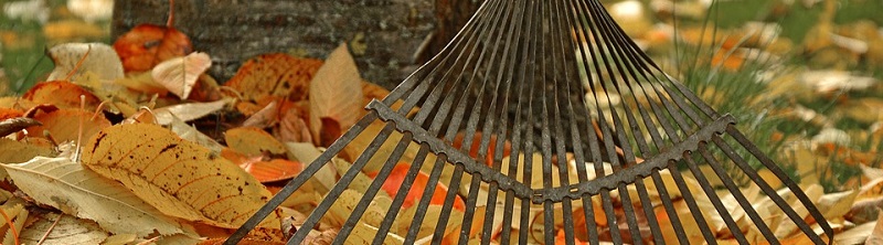 Blog: rmaak je tuin herfst en winterklaar