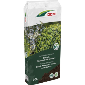 Buxus grond