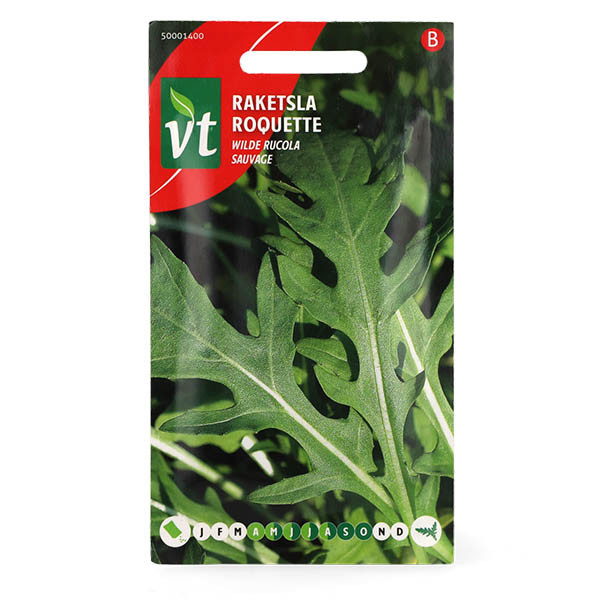 Rucola