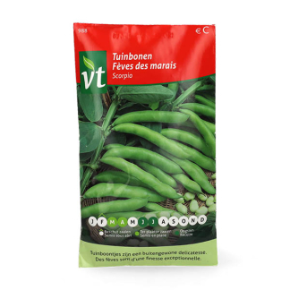 Tuinbonenzaad