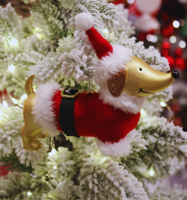 A Christmas Tale teckel