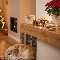 Kerstplanten en lekkernijen buiten bereik van huisdieren