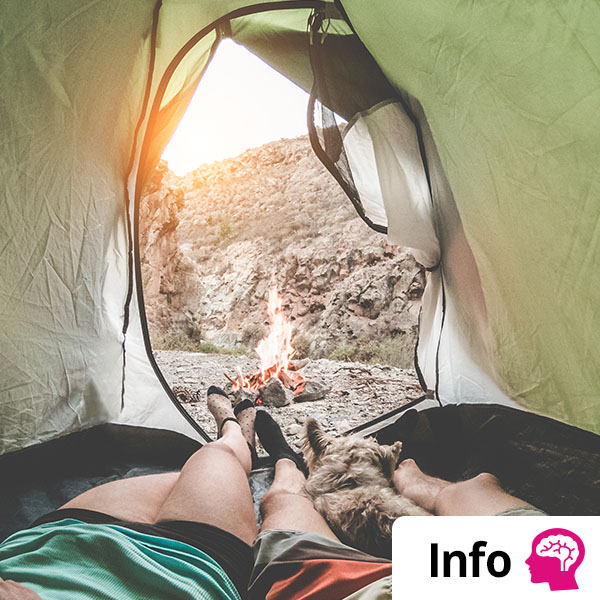 Jouw kampeer essentials op een rij