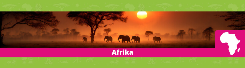 Afrika reisstekkers