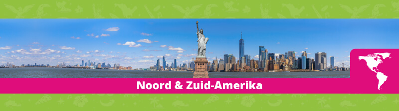Amerika reisstekkers