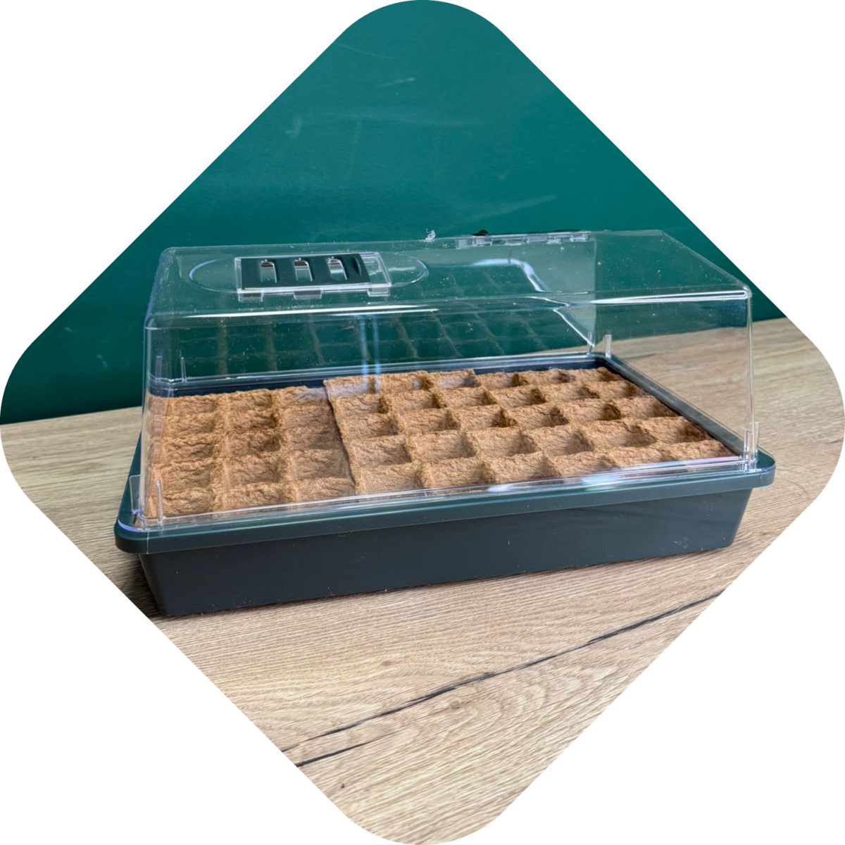 Effectief plantjes kweken: kweekkas