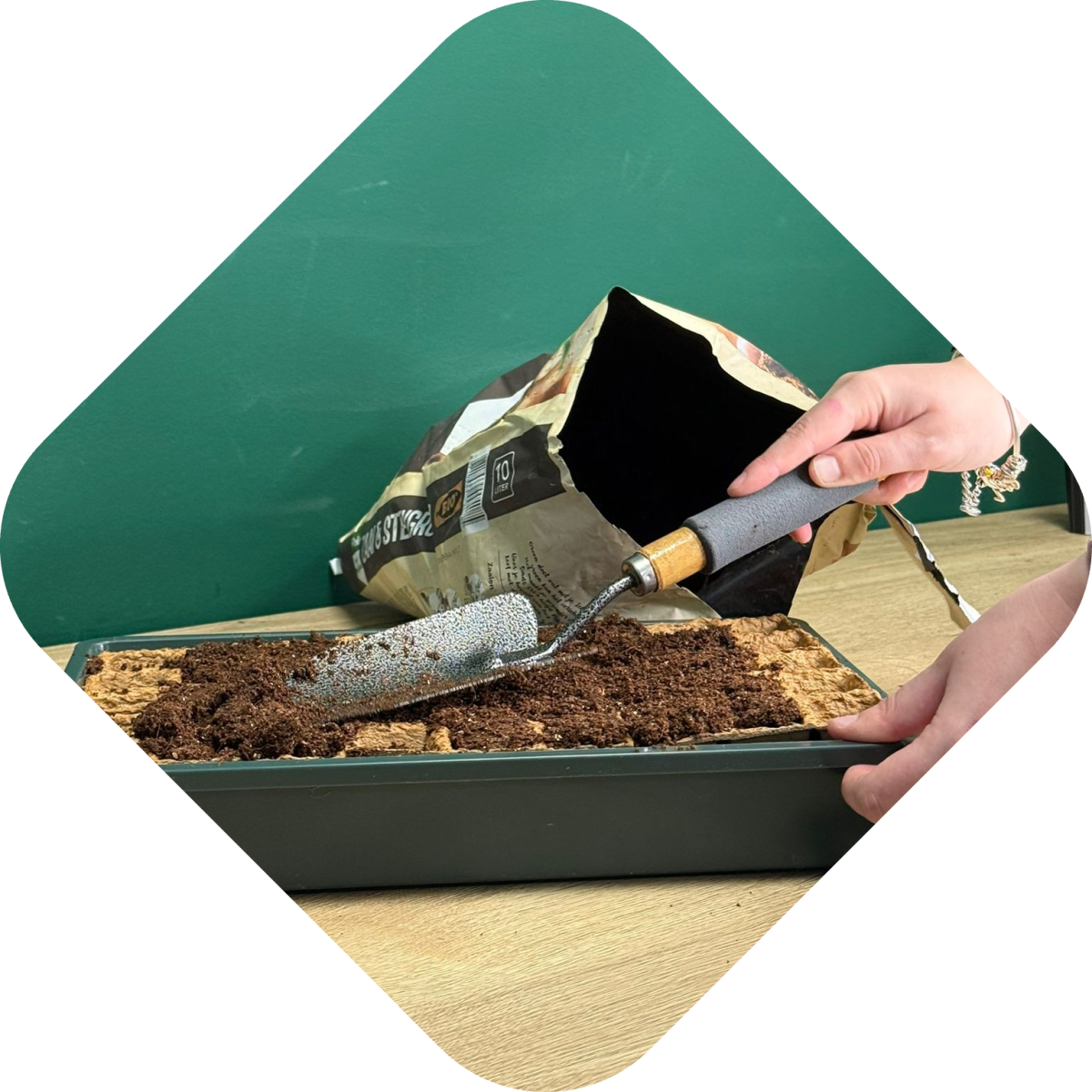 Effectief plantjes kweken: moestuingrond