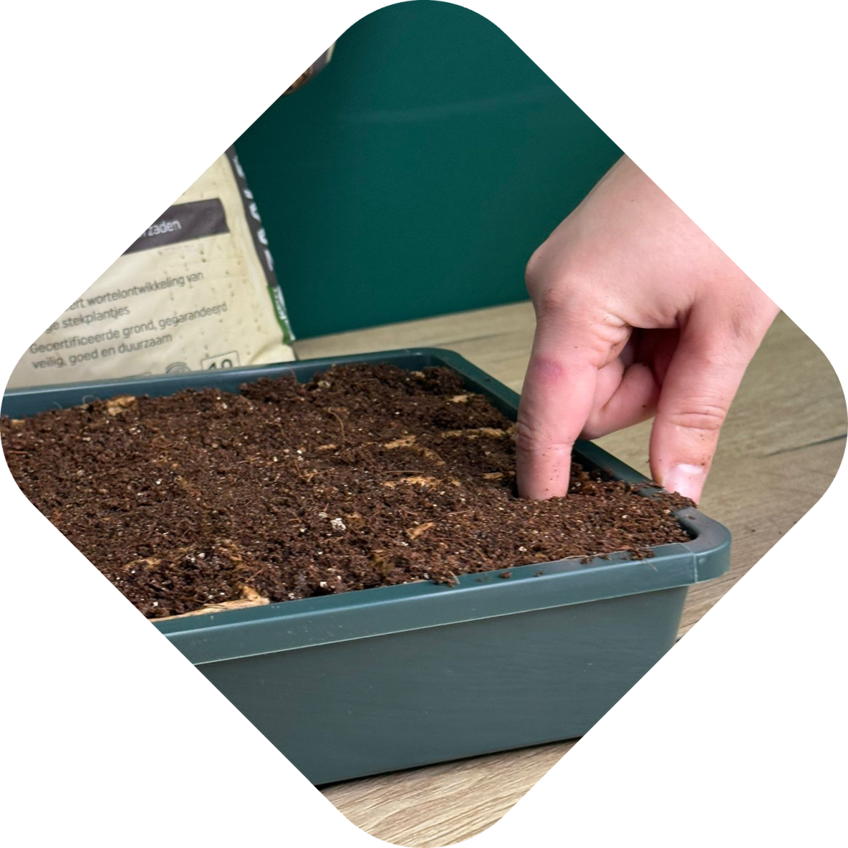 Effectief plantjes kweken: moestuingrond gat maken