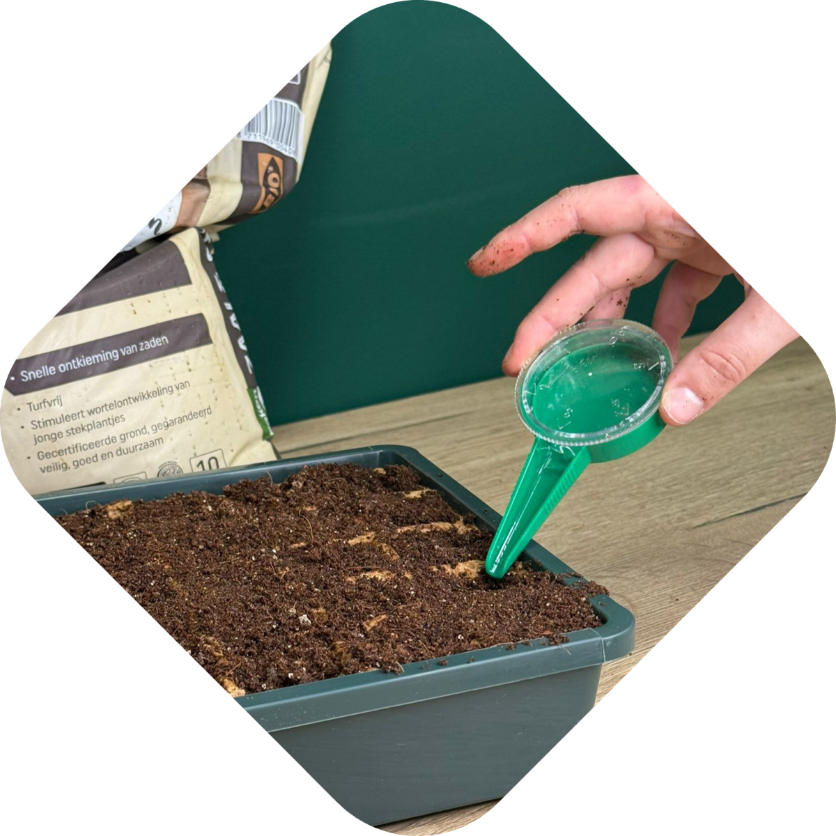 Effectief plantjes kweken: zaadstrooier