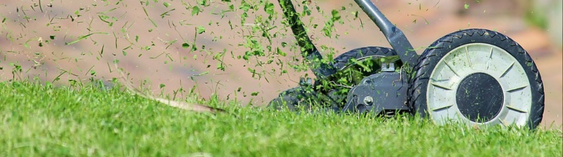 Gazon verzorgen tips