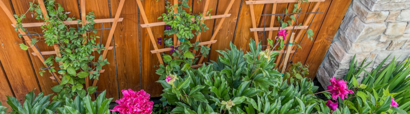 Plantengeleider kiezen