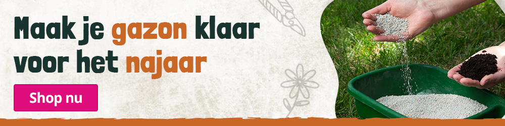 maak je gazon klaar voor het najaar