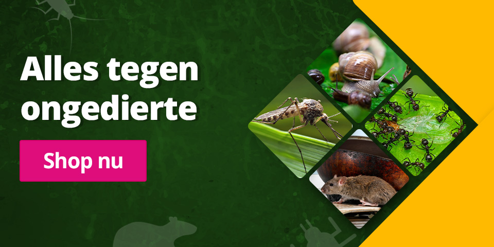 ongedierte