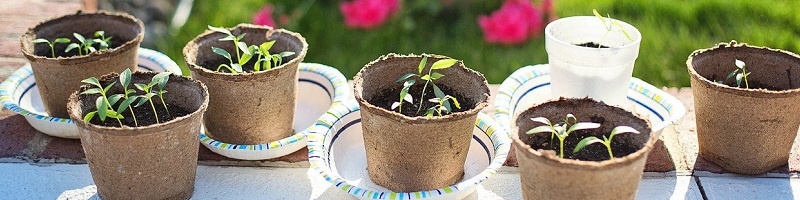 Bestel al jouw plantenverzorging bij Kabelshop.nl