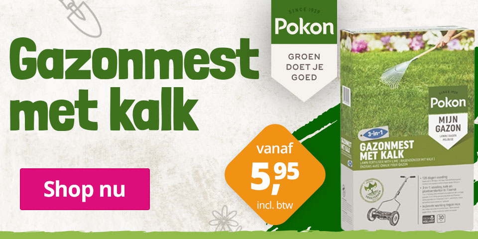 pokon