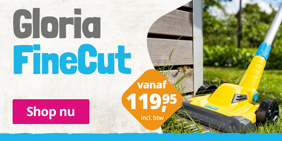 gloria-finecut