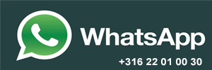 WhatsApp service WhatsApp +31622010030