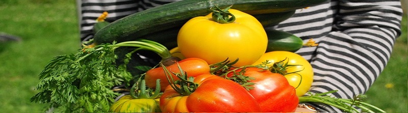 Jouw moestuin inzaaien met Kabelshop.nl!