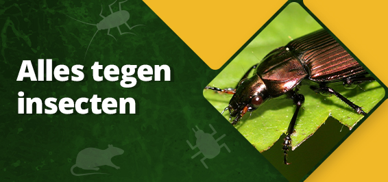 Alles tegen insecten