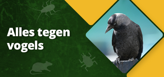 Alles tegen vogels