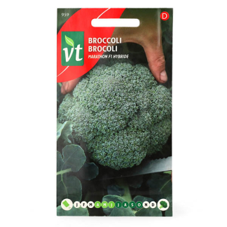 Broccolizaad VT