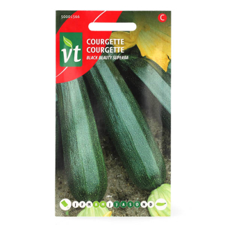 Courgettezaad VT