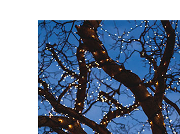 Koppelbare kerstverlichting buiten in de boom | Kabelshop.nl