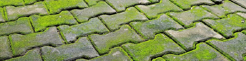 Alles voor groene aanslag verwijderen vind je bij Kabelshop.nl