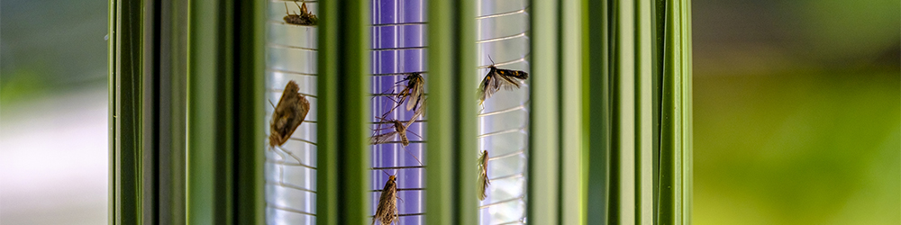 De beste insectenlampen koop je bij Kabelshop.nl