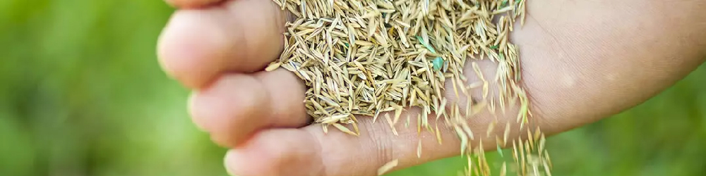 Bestel alles om jouw planten water te geven bij Kabelshop.nl