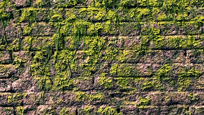 groene aanslag