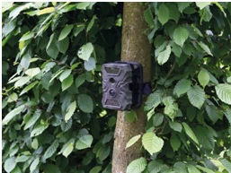CAMCOLVC26 Wildlife camera