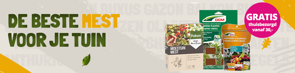 Banner-mest