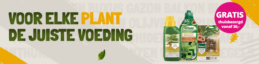 Banner-plantenvoeding