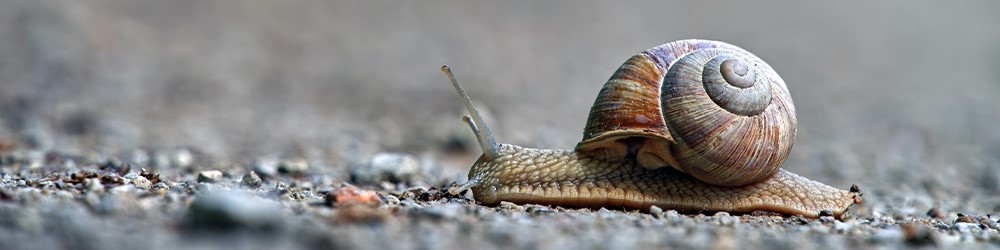 Bestel alles voor je zwembad bij Kabelshop.nl